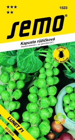 Kapusta růžičková LUNET F1 35 sem.